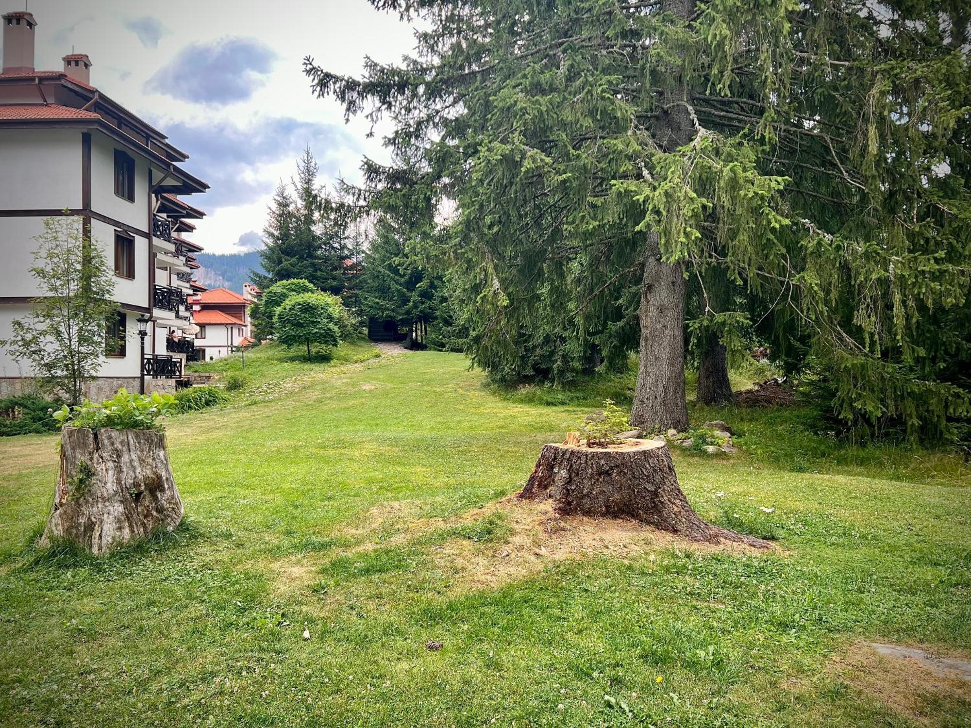 Relax Aпартаменти, Смолянски Езера, Вила Венера, К-С Маунтин Лейк Smolyan Exterior foto