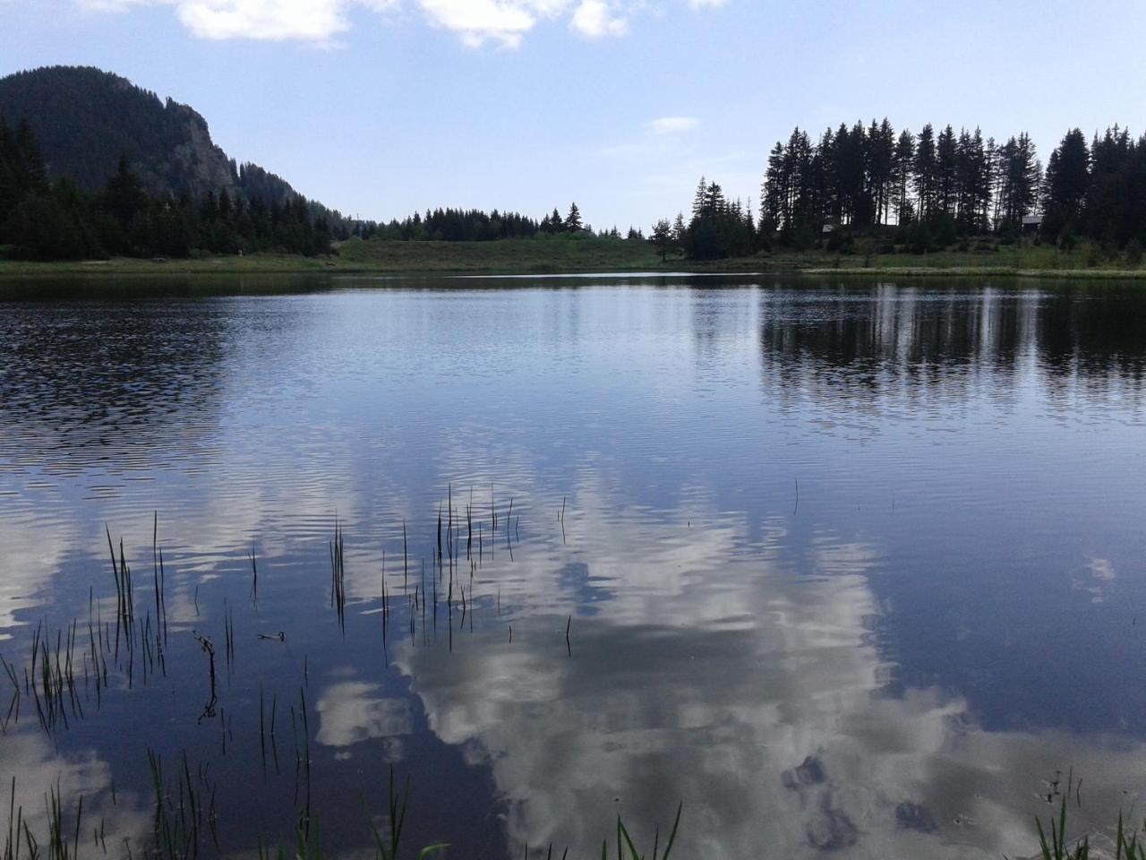 Relax Aпартаменти, Смолянски Езера, Вила Венера, К-С Маунтин Лейк Smolyan Exterior foto